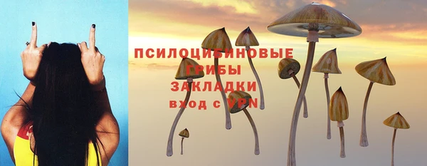 соль ск Заволжье