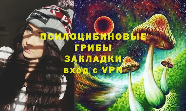 соль ск Заволжье