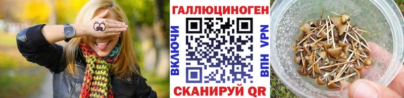 кракен ТОР  Зеленокумск  Псилоцибиновые грибы Cubensis  купить  сайты 